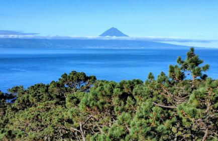 AMU- Apartamentos Mistérios da Urzelina - Foto 61