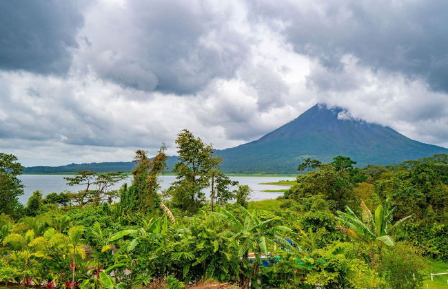 Villas Paradise - Foto 27