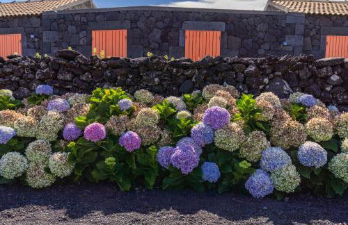 Paraíso do Triângulo - Photo 29