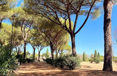 Yellow Sweet Home - Foto 38