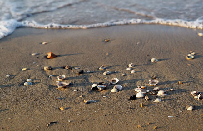 Splendid Flat With Terrace - Beahost Rentals - Foto 12