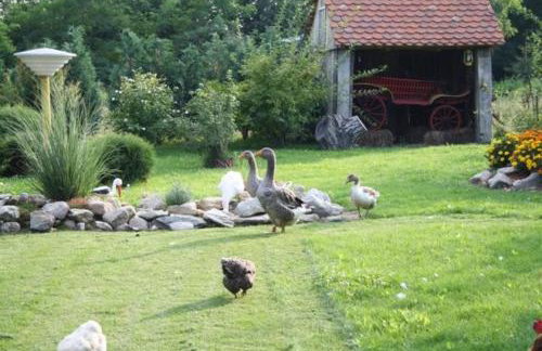 Seoski Turiziam Larva - Photo 32