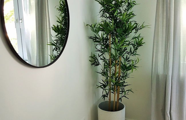 Glück Auf Appartements Walter-Hohmann - Foto 66