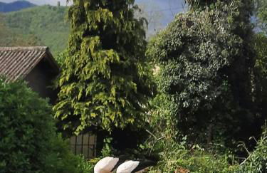 Gîte Les Glycines 68230 TURCKHEIM - Foto 13