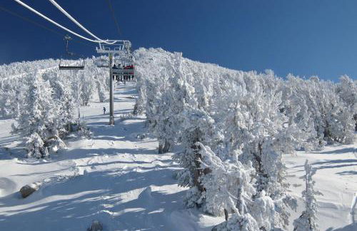 Charming Lake Tahoe Cabin - Foto 6