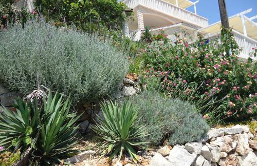 Apartment MORE Island Vis - Photo 36