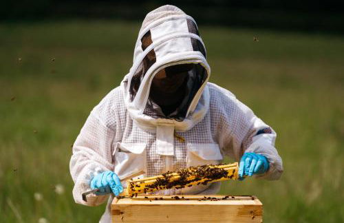 Retreat East - Foto 110