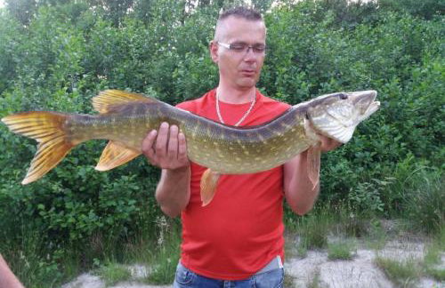 Dom wczasowy , nad jeziorem z możliwością wędkowania do 7 osób - Foto 7