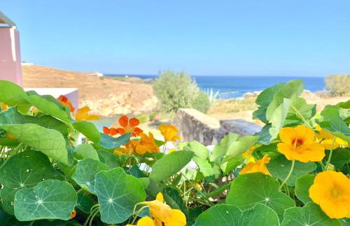 Lydia House by Elefthia Syros - Foto 7