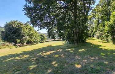 ar prad kirvi - Foto 15