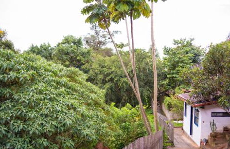 Suíte privada no meio da natureza serrana. - Photo 8