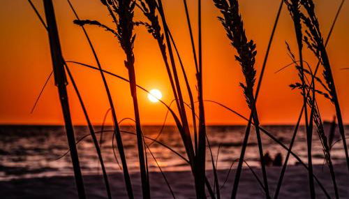 Beautiful Waterfront Beach Cottage. Sleeps 6 - Foto 2