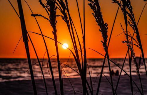 Beautiful Waterfront Beach Cottage. Sleeps 6 - Foto 2