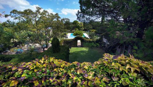 Tenuta Sant'Andrea - Foto 4, Garden