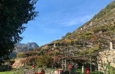 La Casa nel Nebbiolo - Foto 20