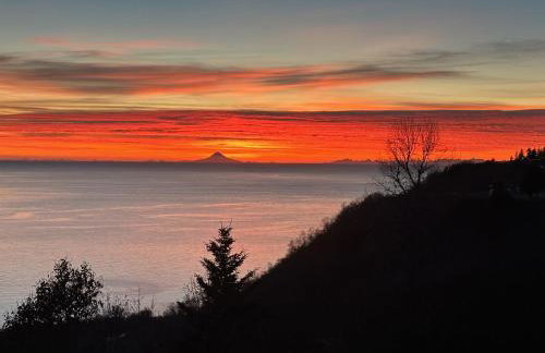 Paradise Suites The Wolf Den - Foto 25