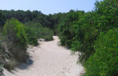 Casa Direttamente sul mare - Foto 41