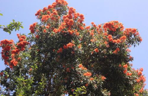 Valle Paraizo - Foto 58