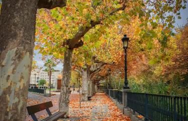 EXCLUSIVO TAPAS EL TUBO CHECKIN 24H Centro 1 - Photo 32