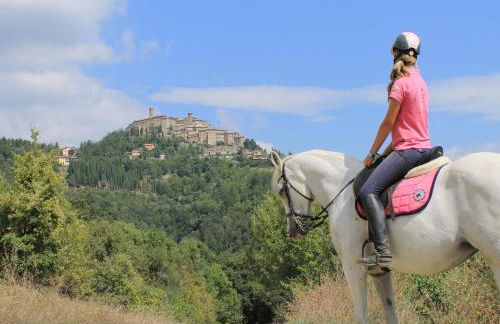 Farmhouse With Stables, Horses and the Ability to Make Horseback Riding - Photo 66