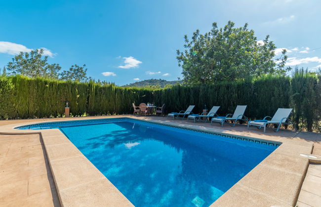 Son Catlar - Photo 22