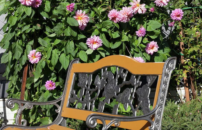 Apartment in Thuringian Forest With Garden - Foto 16