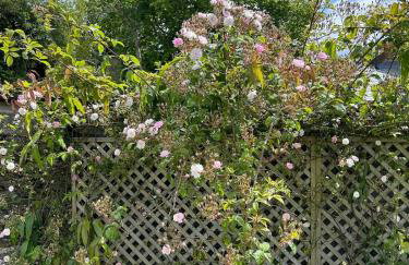 Luxury Farmhouse Retreat with Private Hot Tub & EV - Foto 51