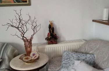 Nostalgia Apartment A in Sami 50 metres from the sea - Foto 44