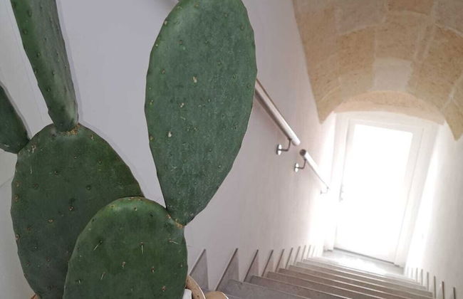 Mae Apulian Rooms - Photo 24