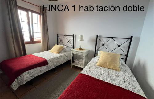 Finca La Calzada - Foto 3