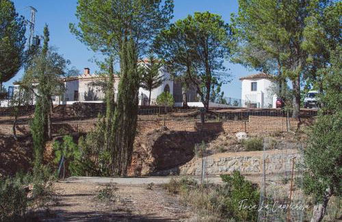 Finca Caprichosa - Foto 33