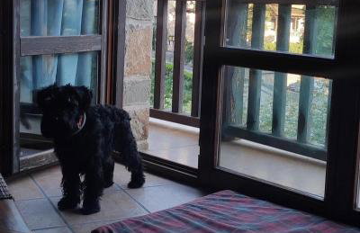 apartamentos turisticos san juan de la peña - Foto 17