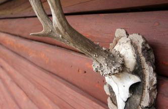 Blockhaus Quellental - Photo 10