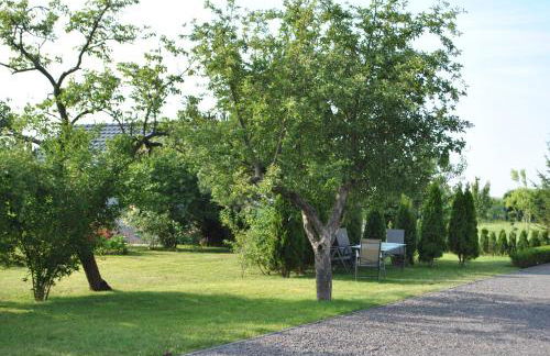 Ferienhaus Relax - Foto 25