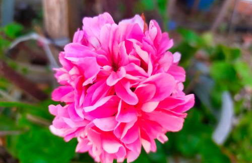 Casa Marina Lu Tuvaraggiu Casa vacanze - Photo 29