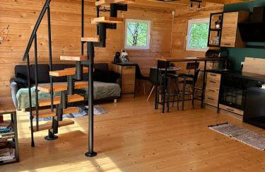 Domki w brzozach - Foto 67