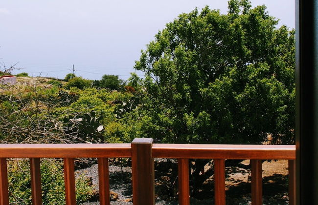 La Casa del Abuelito Julián en El Hierro - Foto 39