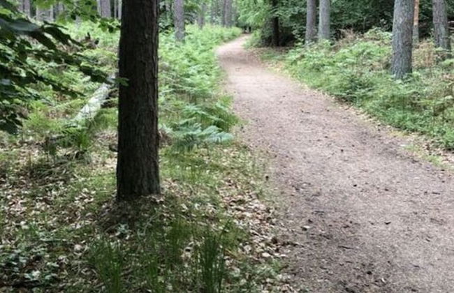 Katis Nest Comfortable Holiday Residence - Photo 33