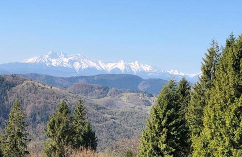 Na Świerkowym Strychu - Photo 53