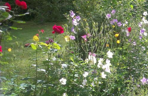 Ferienwohnung Mies - Foto 15