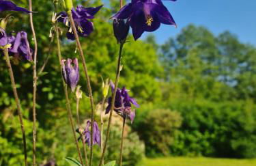 Gîte 4 étoiles La Belle Eau Calme - Foto 36