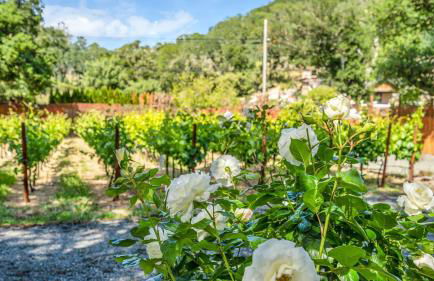 Grapevine Cottage by Avantstay Hobby Vineyard + Firepit - Foto 89