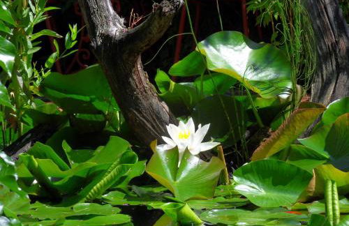 Ferienhaus von Bargen - Foto 29
