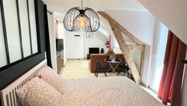 Sacré appartement/Jardin/Parking/Wifi - Photo 3