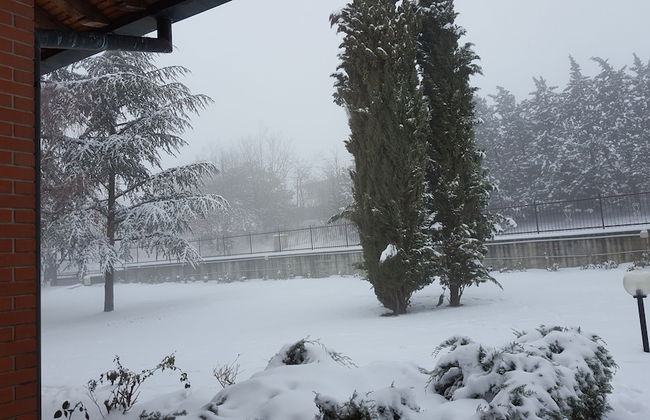 Allevamento B&B - Foto 11