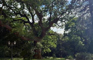 Al Castello da Nancy - 15 min from Positano - Foto 38