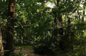 Zacisze Narwi - Foto 37