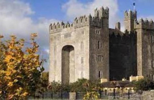 Castletroy Park Hotel Suites - Foto 31