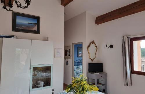 coustelline - Foto 6