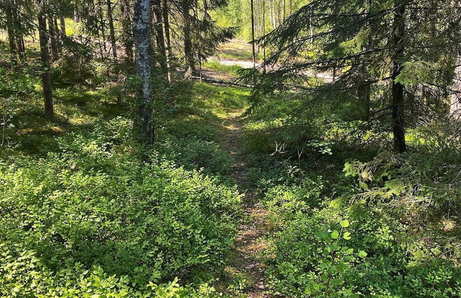 6 Person Holiday Home in Bottnaryd-by Traum - Foto 16